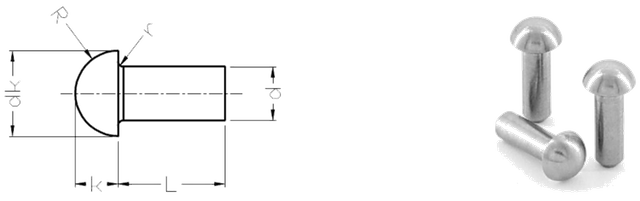 Remaches de cabeza redonda de titanio